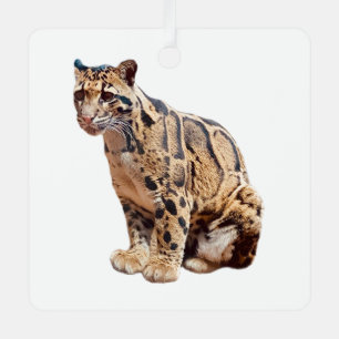 bewolkte luipaard foto jungle grote kat dier metalen ornament