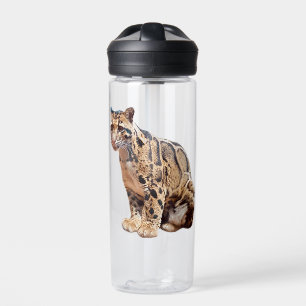 bewolkte luipaard foto jungle grote kat dier waterfles