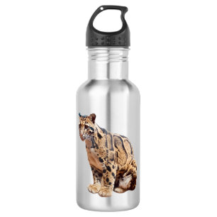 bewolkte luipaard foto jungle grote kat dier waterfles
