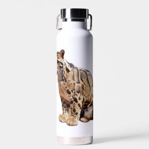 bewolkte luipaard foto jungle grote kat dier   waterfles