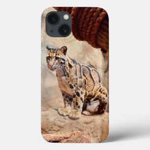 bewolkte luipaard foto natuur natuurleven exotisch Case-Mate iPhone case