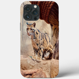 bewolkte luipaard foto natuur natuurleven exotisch iPhone 13 pro max hoesje