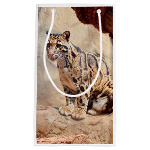 bewolkte luipaard foto natuur natuurleven exotisch klein cadeauzakje