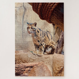 bewolkte luipaard foto natuur natuurleven exotisch legpuzzel