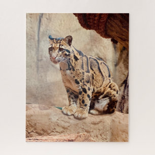 bewolkte luipaard foto natuur natuurleven exotisch legpuzzel