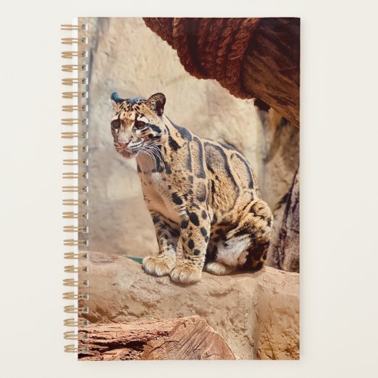 bewolkte luipaard foto natuur natuurleven exotisch planner (Voorkant)