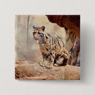 bewolkte luipaard foto natuur natuurleven exotisch vierkante button 5,1 cm