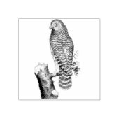 Bewolkte Uil op tak  Illustratie Rubberstempel (Afrduk)