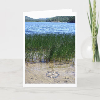 bewoonbaar kamp kaart