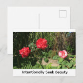 Bewust naar schoonheid zoeken briefkaart (Voorkant / Achterkant)