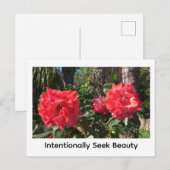Bewust naar schoonheid zoeken briefkaart (Voorkant / Achterkant)