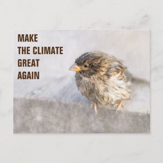Bewustmaking van klimaatverandering briefkaart (Voorkant)