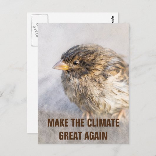 Bewustmaking van klimaatverandering briefkaart (Voorkant / Achterkant)