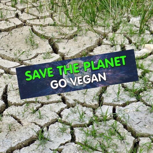 Bewustzijn Vegan Bumpersticker