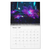 Beyond Collection Kalender (Feb 2027)