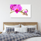 Bezaubernde Orchide - Glücksgefühle frei Haus! Canvas Afdruk (Insitu (Slaapkamer))