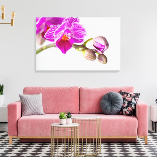 Bezaubernde Orchide - Glücksgefühle frei Haus! Canvas Afdruk (Insitu (Woonkamer))