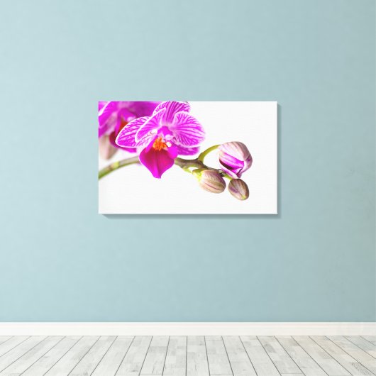 Bezaubernde Orchide - Glücksgefühle frei Haus! Canvas Afdruk (Insitu (Houten vloer))