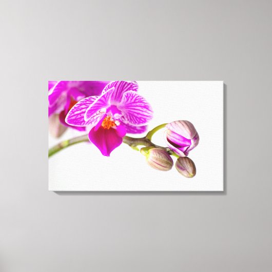 Bezaubernde Orchide - Glücksgefühle frei Haus! Canvas Afdruk (Voorkant)