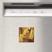 bezems magneet (Insitu (Vaatwasser))