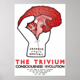Bezet het trivium poster