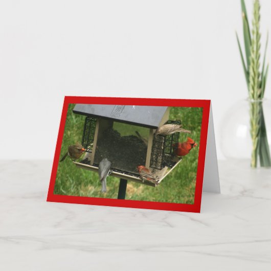 bezetvogelvoeder kaart (Voorkant)