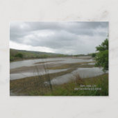 Bezienswaardigheden - Coyote Creek Briefkaart (Voorkant)