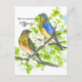 Bezienswaardigheden Missouri Bluebirds Hawthorn Briefkaart (Voorkant)