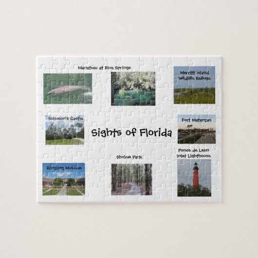 Bezienswaardigheden van Florida Puzzle Legpuzzel (Horizontaal)