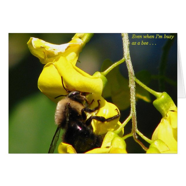 Bezig als bijen (Voorkant Horizontaal)