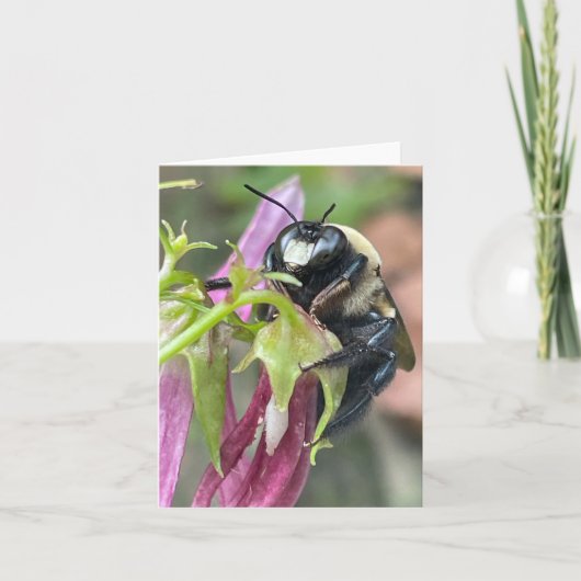 Bezig als bijen aankondiging (Voorkant)