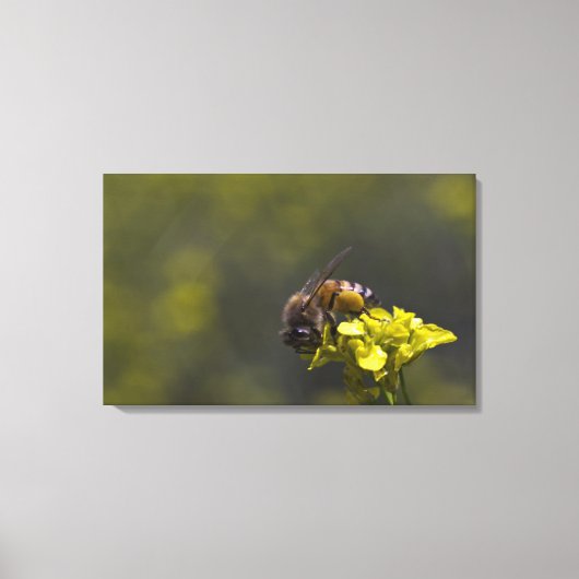 Bezig als bijen canvas afdruk (Voorkant)