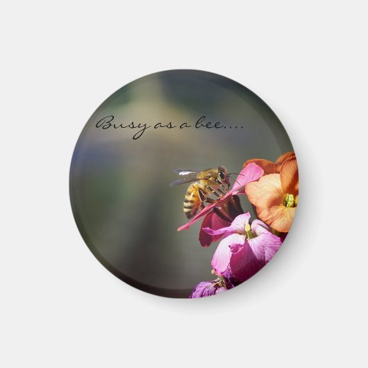 Bezig als een bijenbeloning... magneet (Voorkant)