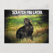 Bezig Juist Meow? Scratch je later Briefkaart (Voorkant)