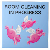 Bezig met schoonmaken van ruimte tegeltje (Voorkant)