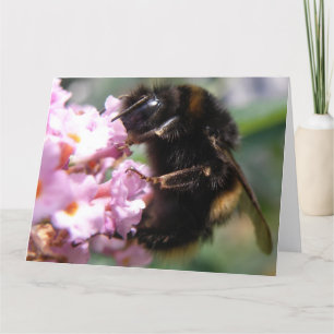Bezig Wenskaart van Bumblebee en Roze bloemen Kaart