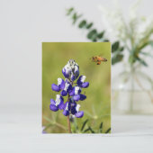 Bezige Bee die een Wilde Lupin Bloem overweegt Briefkaart (Staand voorkant)