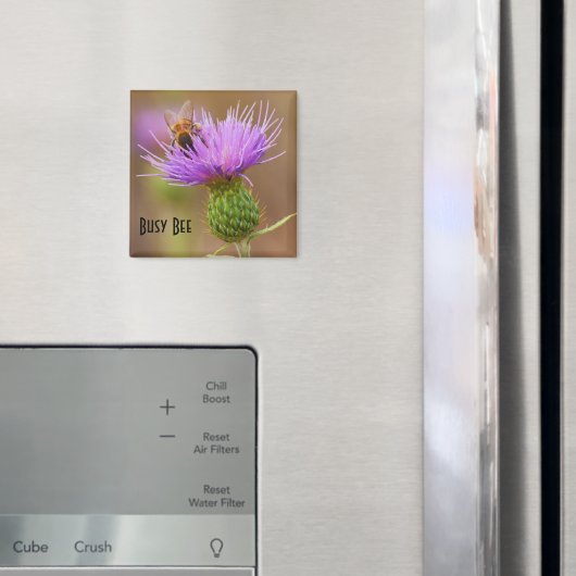 Bezige Bee op Paarse Thistle Close-up-fotosjabloon Magneet (Insitu (Koelkast))