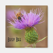Bezige Bee op Paarse Thistle Close-up-fotosjabloon Magneet (Voorkant)
