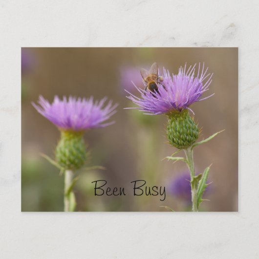Bezige Bee op Paarse Thistle Foto Aangepast Briefkaart (Voorkant)