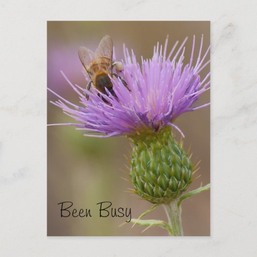 Bezige Bee op Paarse Thistle Foto Aangepast Briefkaart (Voorkant)
