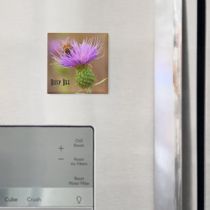 Bezige Bij op de Dichte Omhooggaande Foto van de Magneet