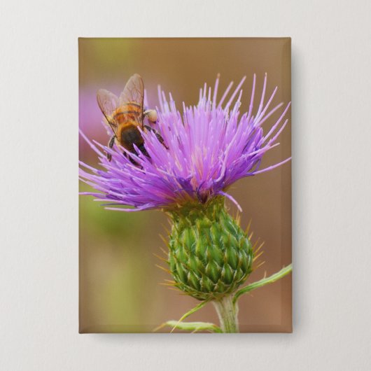 Bezige bijen op Paarse Thistle Clsoe-up-foto Button (Voorkant)