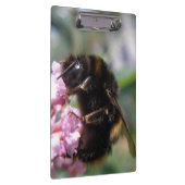 Bezige Bumblebee en Roze Flowers Klembord (Rechts)
