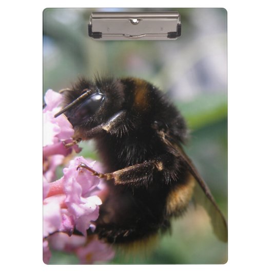 Bezige Bumblebee en Roze Flowers Klembord (Voorkant)