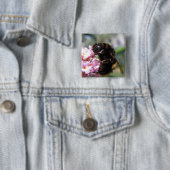 Bezige Button Bumblebee en Roze bloemen (In situ)