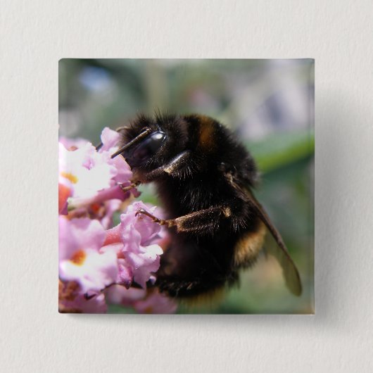 Bezige Button Bumblebee en Roze bloemen (Voorkant)