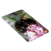 Bezigge Bij en Roze Bloemen Flexi Magneet (Rechterzijde)