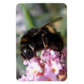 Bezigge Bij en Roze Bloemen Flexi Magneet (Verticaal)