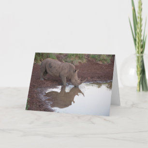Bezinningen: Het Briefkaart van de rinoceros